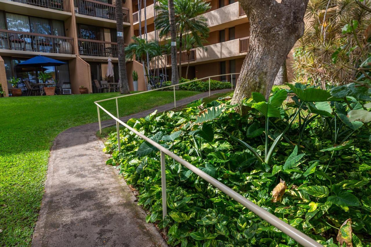 Maui Vista Vacation Condo Kihei Exteriör bild
